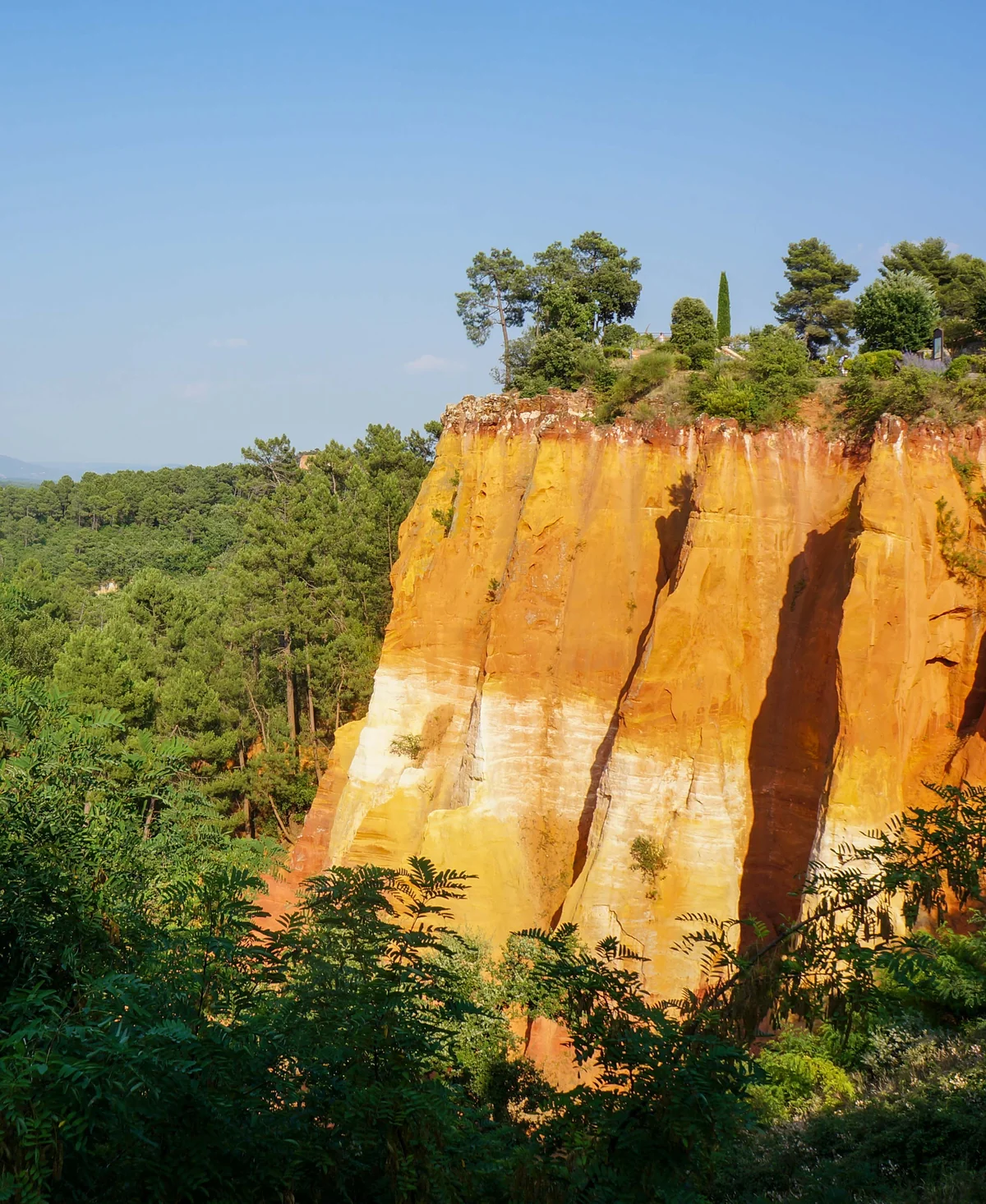 Falaises d'ocre au milieu des pins