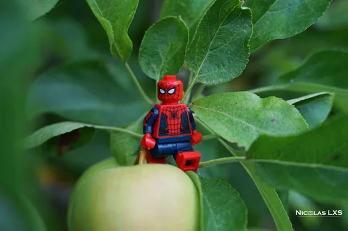 Spider-Man LEGO perché sur une pomme verte dans un pommier