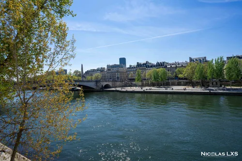 L'île Saint-Louis vue depuis la rive, au printemps